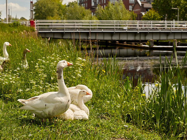 210528_Piushaven_IMG_0377