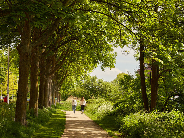 210528_Piushaven_IMG_0368